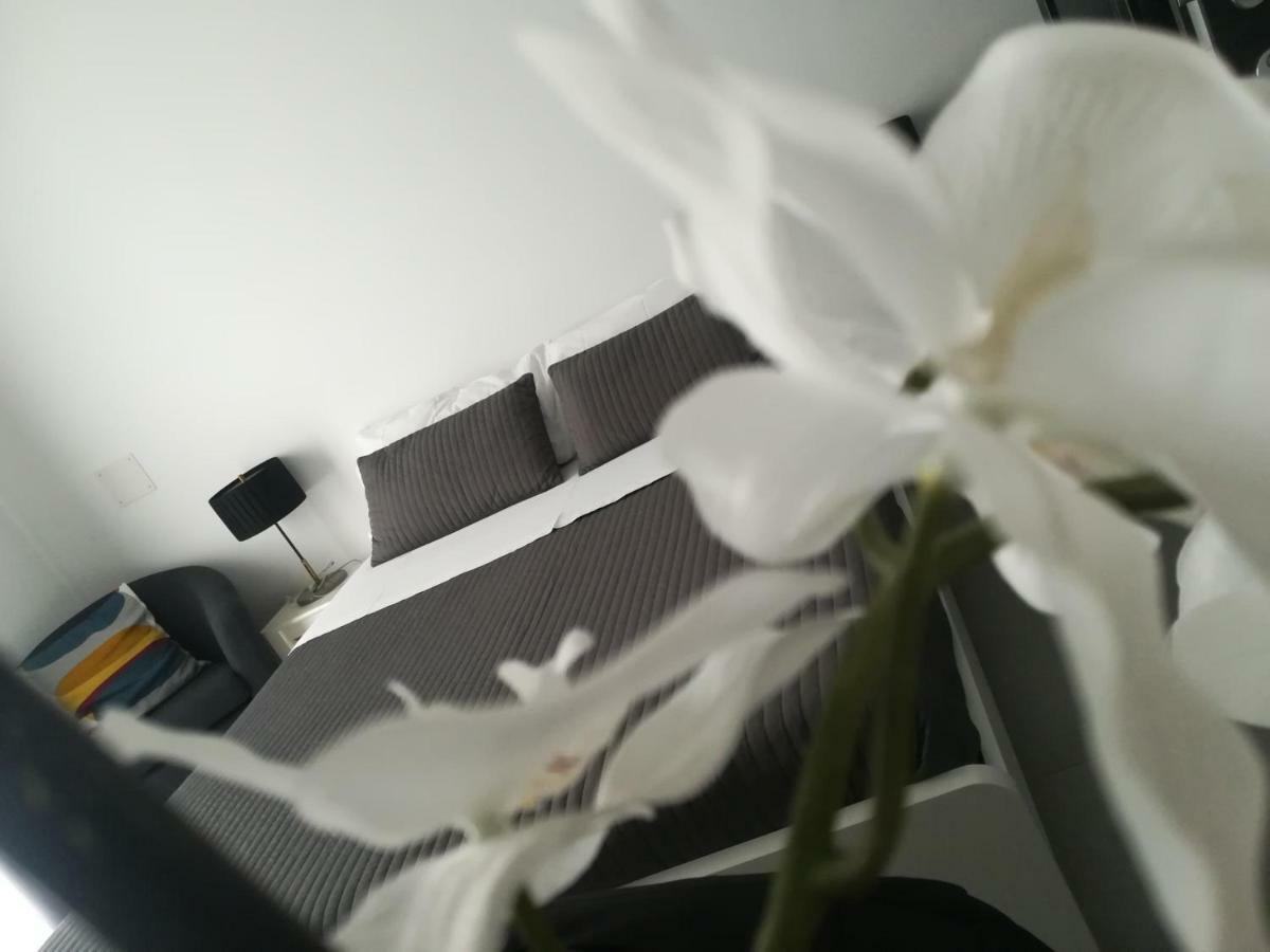 B&B Roda Barocco ノート エクステリア 写真